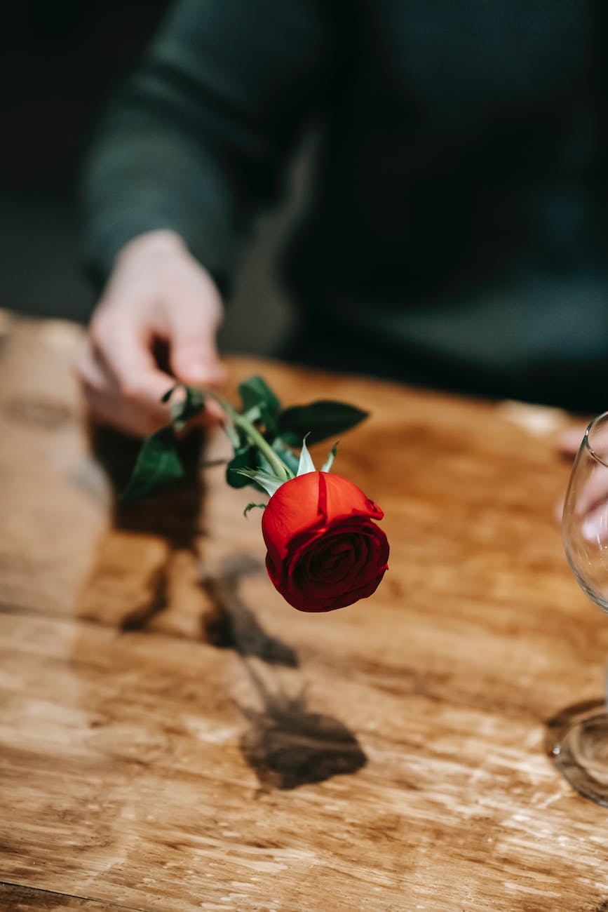 man with red rose in hand sitting at wooden table